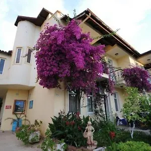 Caretta Fethiye